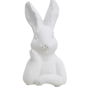 HARE CEMENT CONTEMPLATION