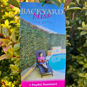 SYZYGIUM ‘Backyard Bliss' (Lilly Pilly)