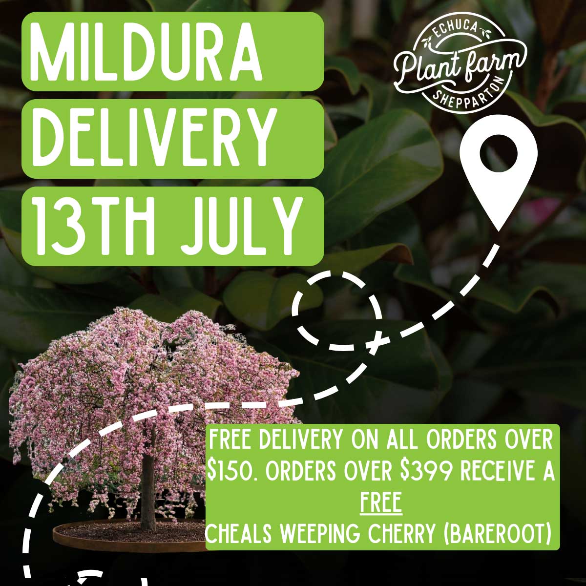 Mildura Delivery Promo