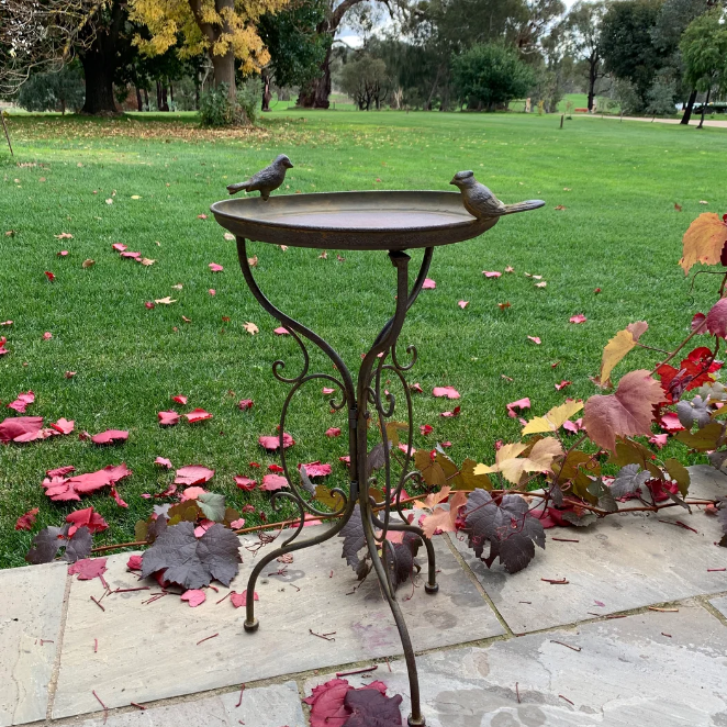 Bird Bath on Stand Rust