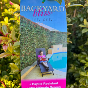 *20CM POT* SYZYGIUM ‘Backyard Bliss’ (Lilly Pilly)
