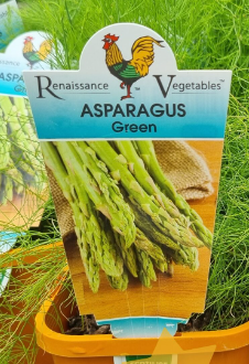 ASPARAGUS Green