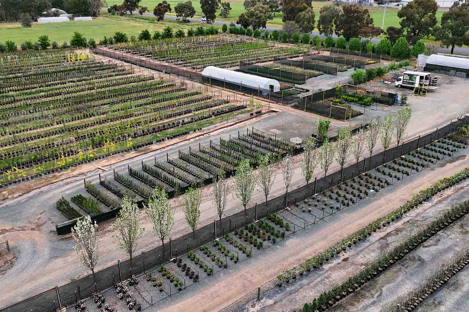 Plant Farm aerial